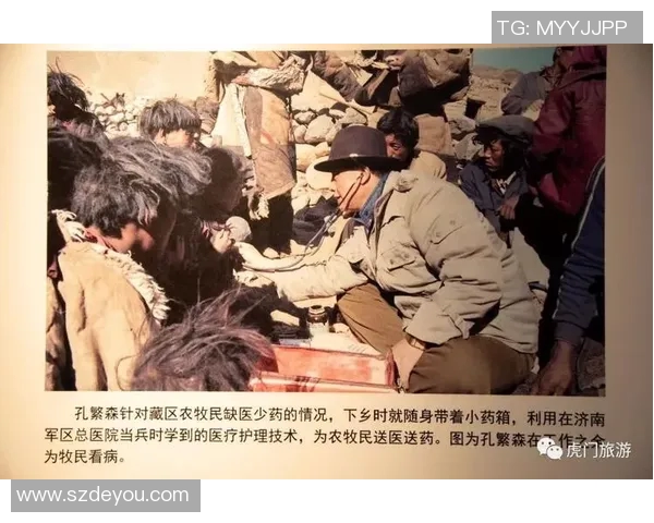 上海排球队的技术揭秘与训练背后的故事与成就分享